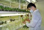 Đề tài nghiên cứu trong lĩnh vực nào sẽ được Quỹ Phát triển KH&CN Quốc gia xét chọn tài trợ?