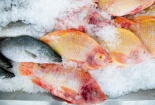 Hoa Kỳ thu hồi lượng lớn cá da trơn đông lạnh không đạt chuẩn
