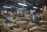 Giải pháp giúp ngành gỗ Việt Nam nâng cao năng lực, phát triển bền vững