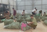 Thu giữ lượng lớn quần áo trẻ em không rõ nguồn gốc 