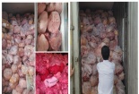 Hơn 40 tấn thịt gà, heo đông lạnh bốc mùi hôi thối được phát hiên tại cơ sở sản xuất giò chả