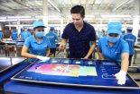Vì sao Asanzo của CEO Phạm Văn Tam tạm ngừng hoạt động?