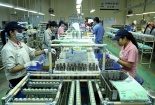 8 tháng, vốn FDI chuyển dịch tăng 6,3% so với cùng kỳ năm 2018