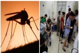 Có thể tử vong nếu tự ý dùng các loại thuốc này điều trị sốt xuất huyết tại nhà