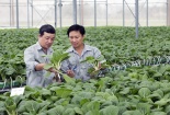EVFTA mở ra tiềm năng lớn đối với nông nghiệp hữu cơ 