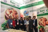 Hapro đạt danh hiệu “Doanh nghiệp xuất khẩu uy tín” năm 2018 với 3 mặt hàng chủ lực