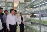 Để sâm Ngọc Linh phát triển xứng đáng là 'quốc kế dân sinh' 