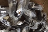 Thu giữ gần 200 đôi giầy thể thao nam giả nhãn hiệu nổi tiếng