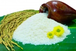 Công nghệ sẽ là 'chìa khóa' nâng cao năng suất, chất lượng lúa gạo Việt Nam 