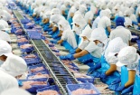 Gỡ vướng pháp lý để đẩy nhanh tiến độ cơ cấu lại DNNN