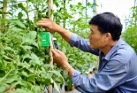 Ưu tiên ứng dụng sản phẩm công nghệ thương hiệu Việt để phát triển nông nghiệp thông minh