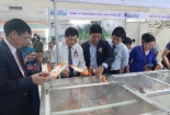 Các loại thủy hải sản đặc sắc hội tụ tại Hội chợ Thủy sản Hà Nội 2019