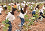 Mừng sinh nhật 18 năm, Tập đoàn FLC phát động chiến dịch Xanh trên toàn hệ thống