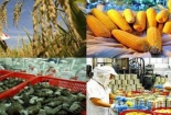 6 nhóm sản phẩm nông lâm thủy sản đạt kim ngạch xuất khẩu trên 2 tỷ USD