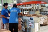 Gỗ Trường Thành lỗ gần 178 tỷ, gấp 5 lần trong quý III/2019