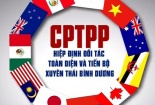 Áp dụng các biện pháp tự vệ đặc biệt để thực thi Hiệp định CPTPP