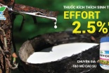 Effort 2.5% Paste – 'chuyên gia' tạo mủ cao su