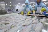 Kiểm soát tốt chất lượng, cá tra Việt tự tin mở rộng thị trường