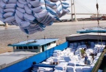 Đồng bằng sông Cửu Long: Doanh nghiệp giảm cạnh tranh vì thiếu cảng biển nước sâu