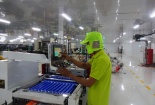 Áp dụng ISO 22000:2018 - Kinh nghiệm thành công từ Nhựa Rạng Đông Long An