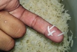 Sự thật về loại gạo không nở, đốt có mùi khét nghi gạo giả