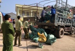 Chặn đứng hành vi xuất lậu lượng lớn chân lợn, lòng lợn qua biên giới