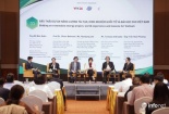 Phát triển điện năng lượng tái tạo: Còn đó những câu hỏi lớn 