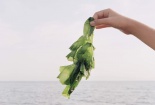 Lợi ích tuyệt vời khi sử dụng rong biển trong chế độ ăn uống hàng ngày