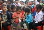 Sữa tươi sử dụng trong Chương trình Sữa học đường phải đảm bảo 'chuẩn' nào?