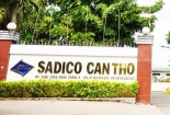 Nữ cổ đông lớn Công ty cổ phần Sadico Cần Thơ bị xử phạt 
