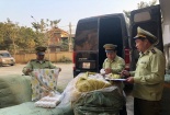 Nhập lậu lượng lớn sạc điện thoại, vỏ điện thoại bị thu giữ