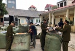 Nhiều hàng hóa vi phạm về nguồn gốc nhập khẩu bị thu giữ