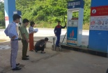 Chi cục TCĐLCL Đồng Tháp: Công bố kết quả kiểm định hơn 600 phương tiện đo trong năm 2019