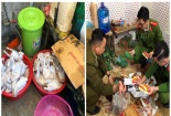 Mua thịt gà, phủ tạng không rõ nguồn gốc về sơ chế và đóng gói bán ra thị trường
