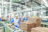 Năm 2020: Xuất khẩu gỗ dự kiến tăng trưởng 18% - 20%