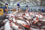 Lỗ ròng hơn nghìn tỷ, Thủy sản Hùng Vương đặt mục tiêu lãi 790 tỷ năm 2020