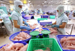 Doanh thu Thủy sản Cửu Long An Giang giảm 86% quý 4/2019