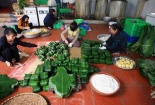 Không khí Tết rộn ràng ở làng bánh chưng truyền thống Tranh Khúc