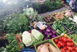 Giá rau xanh tăng mạnh sau Tết