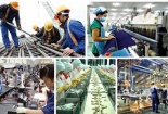 Toàn cảnh năng suất lao động Việt Nam năm 2019