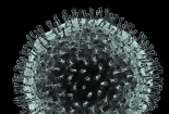 Hơn 50 nghiên cứu về virus Corona đã được công bố trong 20 ngày