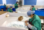 Doanh nghiệp tăng ca sản xuất khẩu trang cho thị trường