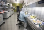 Các nhà khoa học Anh: Đột phá trong công cuộc tìm kiếm vaccine chống lại virus Corona
