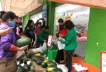 Hệ thống bán lẻ BRG chung tay hỗ trợ nông dân tiêu thụ trên 200 tấn dưa hấu 