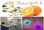 WHO khuyến cáo: Dùng vitamin C, trà thảo dược ngăn chặn virus corona chỉ 'vô dụng'