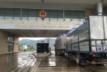Thông quan hàng hóa có kiểm soát tại cửa khẩu Lào Cai
