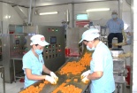 Tiêu chuẩn ISO 22000: Áp dụng đúng, hiệu quả tức thì