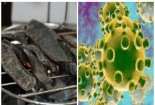 Đốt bồ kết, bôi dầu tràm để tiêu diệt virus corona là suy nghĩ phản khoa học