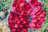 Nhiều cửa hàng hoa lo thua lỗ vì thị trường Valentine năm nay thiếu vắng hoa nhập