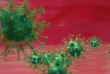 Nỗ lực tái tạo virus trong phòng thí nghiệm để chống lại COVID-19